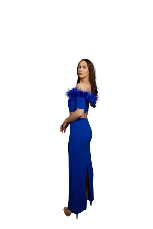 Woman wearing blue feathered dress, full side view