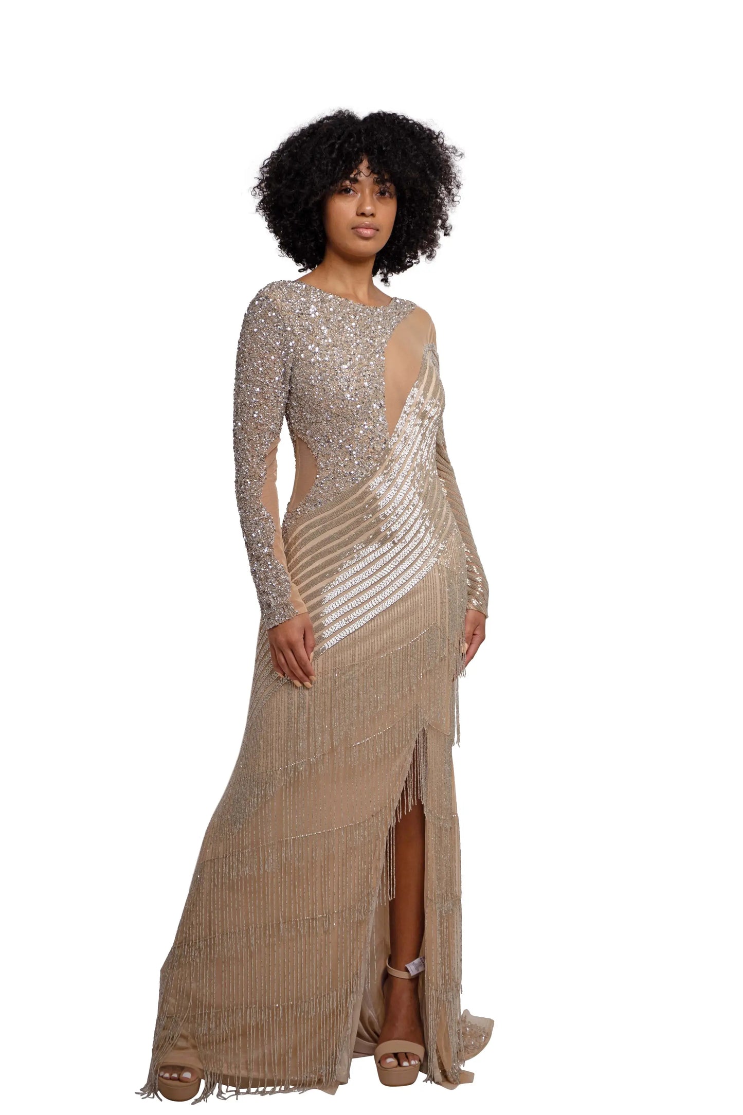 Nude Silver Long Dress