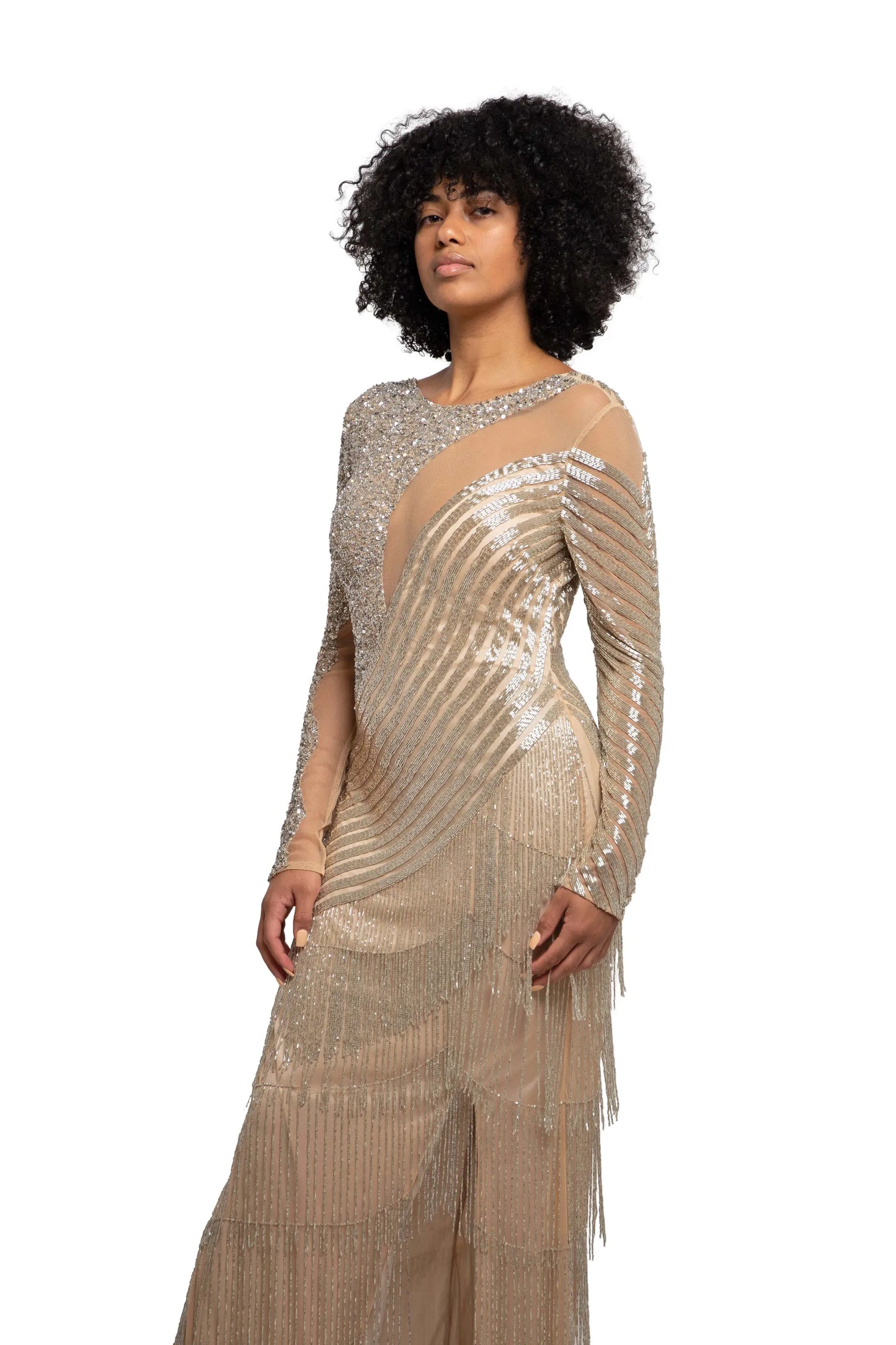 Nude Silver Long Dress