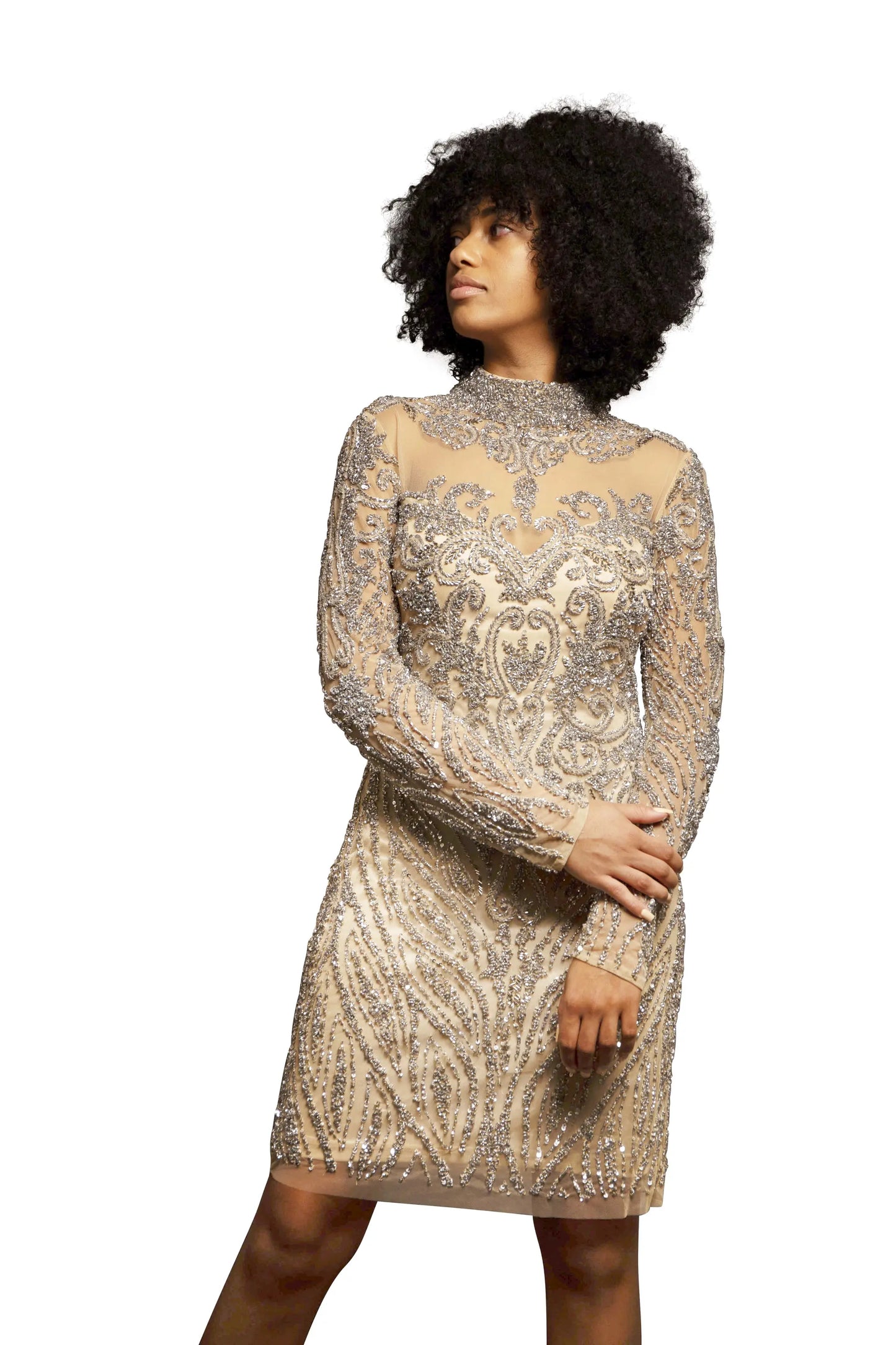 Nude Silver Short Dress